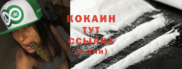 мдпв Михайлов