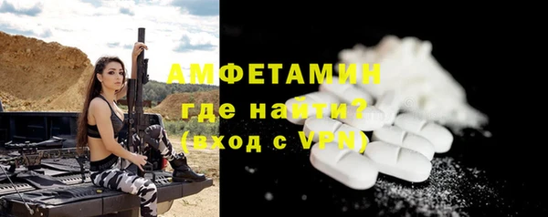 мдпв Михайлов