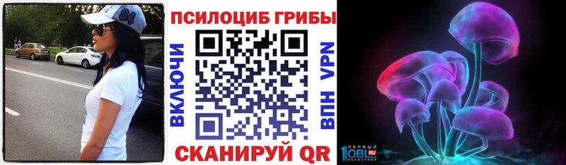 дарнет шоп  Правдинск  Галлюциногенные грибы Magic Shrooms 