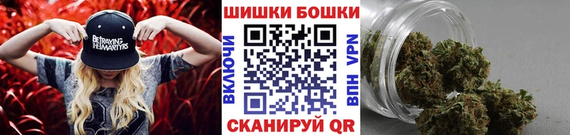 Канабис индика  как найти   Правдинск 
